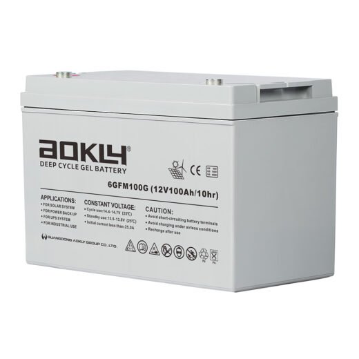 Bateria de Gelatina AOKLY 100 amp 12 VDC modelo 6GFM 100G