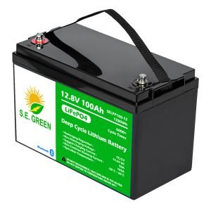 Batería Litio LiFePO4 (libre de mantenimiento) S.E Green 12 Voltios 100 Ah